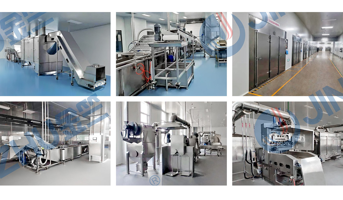 天津紅日藥業集團前處理項目